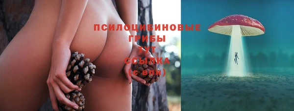стаф Бугульма