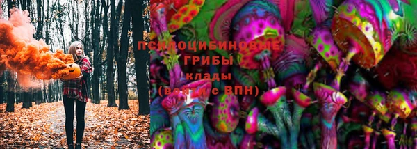 стаф Бугульма