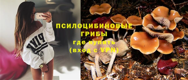 мдпв Бронницы