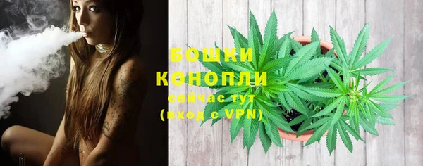 мдпв Бронницы