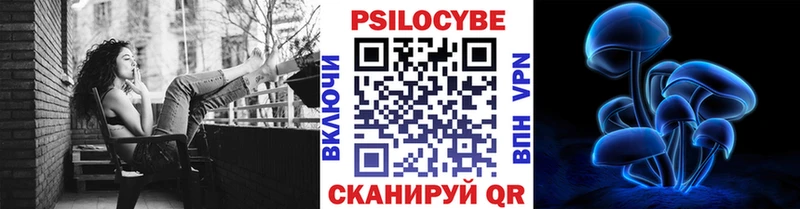 Галлюциногенные грибы Psilocybe  Ногинск 